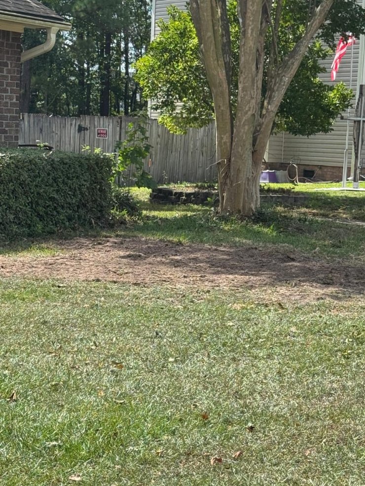 Lion Tree Service and Landscaping LLC project photo 36